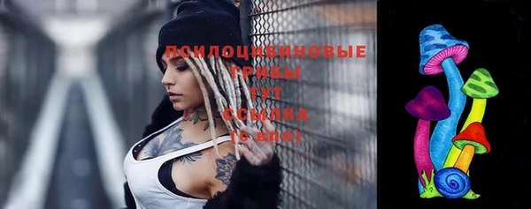 дурь Наволоки