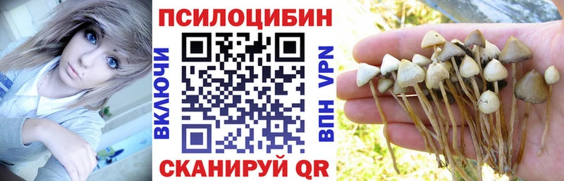 Галлюциногенные грибы MAGIC MUSHROOMS  Купить где  Чапаевск 